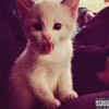Логотип телеграм канала @mellsaws — Звёзды от Sawsa