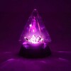 Telegram channel CRYSTAL TON logo