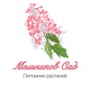 Логотип телеграм канала @melnikov_sad_zakaz — Мельников сад