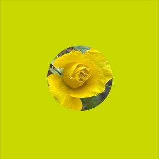 Логотип телеграм канала @melnizza1 — MelniZZa