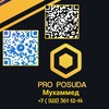 Telegram channel PRO POSUDA logo