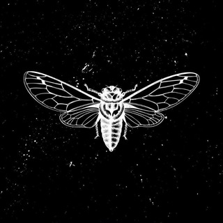 Логотип телеграм канала @melomanmuzzic — 彡 U̷P̷S̷T̷R̷E̷A̷M̷. 𓆤