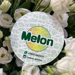 Логотип телеграм канала @melonirkutsk — Парфюмерные мастер-классы Иркутск. Melon