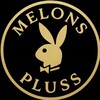 Telegram channel Melons PLUS logo