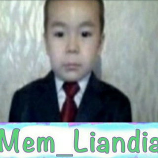 Логотип телеграм канала @mem_liandia — Мемляндия