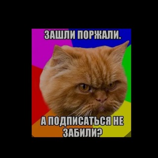 Логотип телеграм канала @memacademy — memacademy