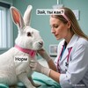 Логотип телеграм канала @memalena — Зай, ты как? ❤️‍🩹 Море, мемы и любовь 🩵
