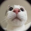 Логотип телеграм канала @membezsmysla — канал без смысловой нагрузки