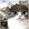 Telegram channel Юмористический logo