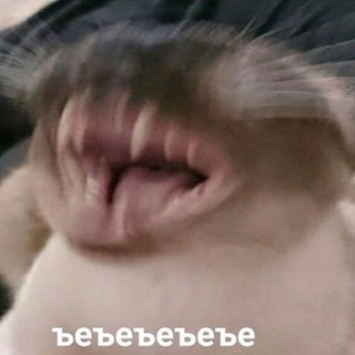 Логотип телеграм канала @meme_church — МемХрам