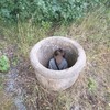 Логотип телеграм канала @meme_67s — МеМэСы