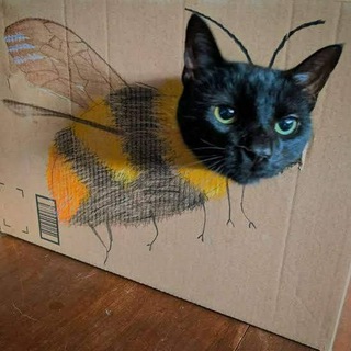 Logo de la chaîne télégraphique memegram01 - Memegram