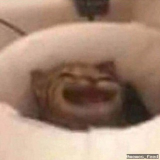 Логотип телеграм канала @memes_feed — Memes Feed