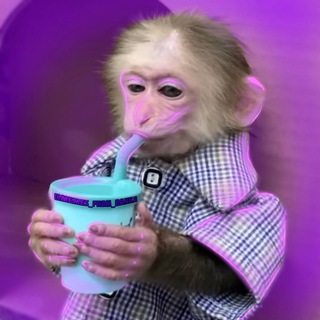 Логотип телеграм канала @memes_from_banka — Демотиватор|пикчи пон🐒🍌