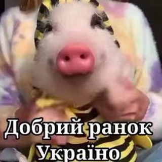 Логотип телеграм -каналу memes_korrespondent — Свинячий корреспондент #УкрТг