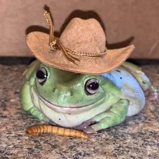 Логотип телеграм канала @memes44you — МДТ🪱