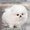 Telegram channel Мемы тех, кех logo