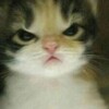 Логотип телеграм канала @memesssmem — Мемы спасут мир 😇