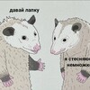 Telegram channel Мемы, которые я сохраняю для неё logo