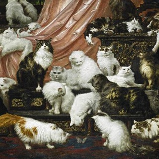 Логотип телеграм канала @memeswithcats — 40 мемов с котами