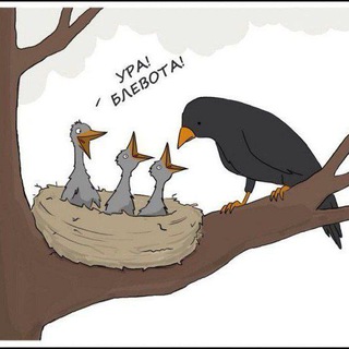 Логотип телеграм канала @memforfriend — MFF | Mems For Friends |