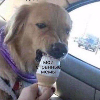 Логотип телеграм канала @memiskrepi — МемыСкрепы