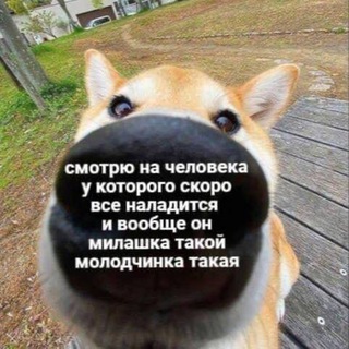 Логотип телеграм канала @memiskrepi2 — МемыСкрепы 2