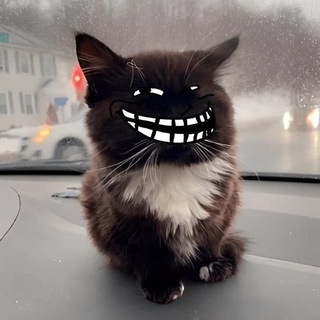 Логотип телеграм канала @memniymem5 — Мемный Мем