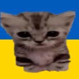 Логотип телеграм канала @memnuti — Мемнутий🤡