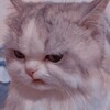 Логотип телеграм канала @memologsuetolog — Мемолог-суетолог