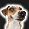 Логотип телеграм канала @memoprosi — Опросяка