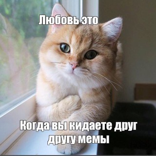 Логотип телеграм канала @memorandum_hveya — МЕМОрандум
