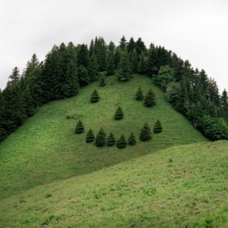 Логотип телеграм канала @memorandumm — меморандум