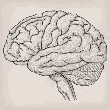 Логотип телеграм канала @memorizzandovi — Memories & Emotions