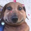 Логотип телеграм канала @mempryt — Мемы VS мораль
