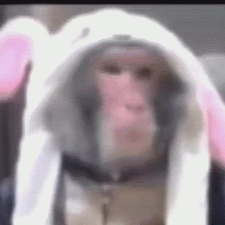 Логотип телеграм канала @memskladka — мемная складка