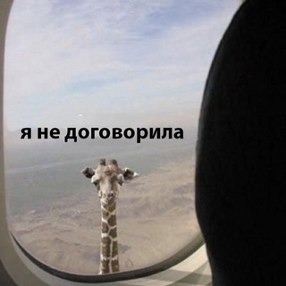 Логотип телеграм канала @memsofhumor — Мемасики