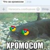 Логотип телеграм канала @memstudy — Пары СОМиКОв 🐺