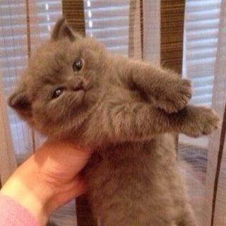Логотип телеграм канала @memy_moi_memy — меми мої меми