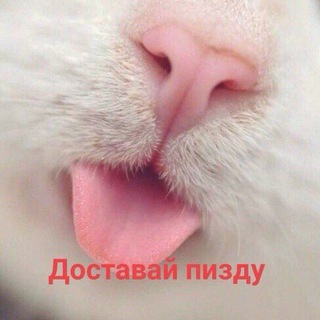 Логотип телеграм канала @memyata — мемята с нашего двора