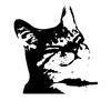 Логотип телеграм канала @memyprokotow — мемы про котов (по ржать)