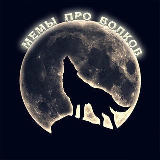 Логотип телеграм канала @memyprovolkov — Мемы про волков на каждый день