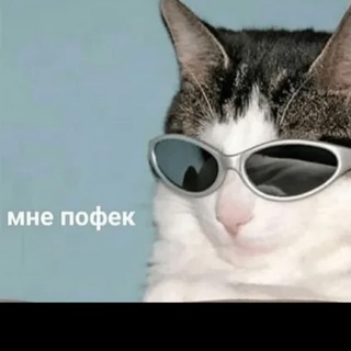Логотип телеграм канала @menepofik — Мне пофек