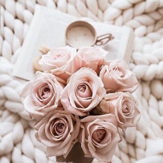 Logotipo del canal de telegramas mentepositivva - 🌻 ❯ ᴍᴇɴᴛᴇ ᴘᴏꜱɪᴛɪᴠᴀ