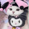 لوگوی کانال تلگرام meooowlife — 🌸🍨Ⲙⲓⳑⲕⲁ Ⲙⲉⲟⲱ🍨🌸
