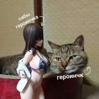 Логотип телеграм канала @meow_gera — церковь пресвятого героина.