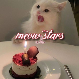 Логотип телеграм канала @meow_star_wildberries — ⊹ 𝒎𝒆𝒐𝒘 𝒔𝒕𝒂𝒓 𝒘𝒃 ⊹