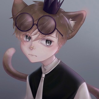 Логотип телеграм канала @meow9001 — Сырный кот