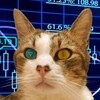 Логотип телеграм канала @meowblockchain — Meow on the Blockchain