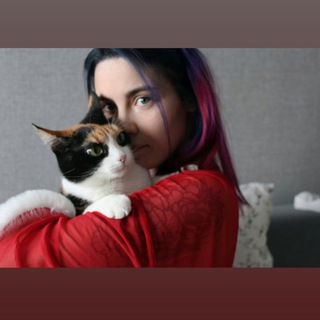 Логотип телеграм канала @meowkott — Кошкодевка 🐈
